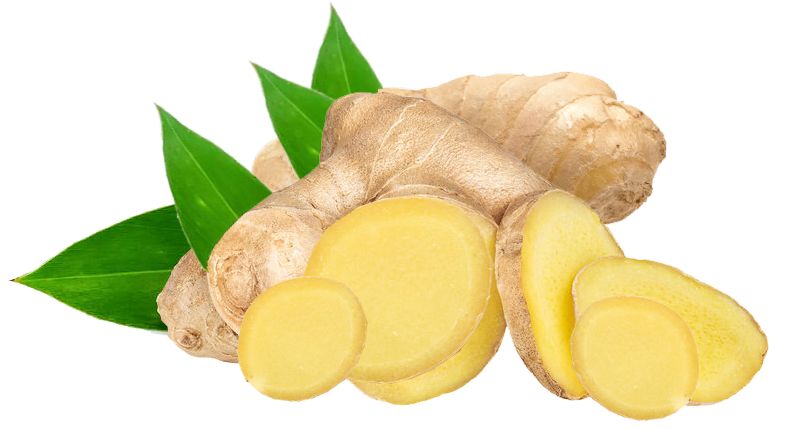 Ginger Root